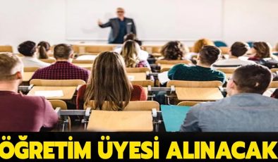 Sinop Üniversitesi Öğretim Üyesi alıyor