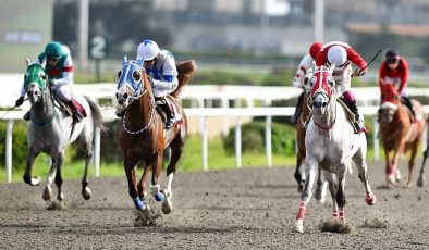 2. Çorlu Belediye Başkanlığı Koşusu'nu 'Fedai' Kazandı